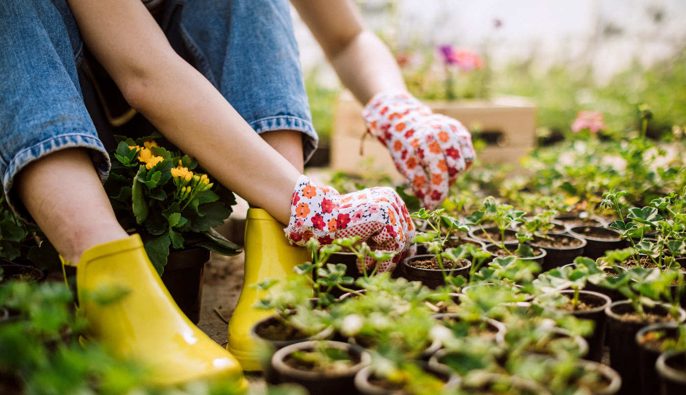 Sustainable Cleaning Practices
